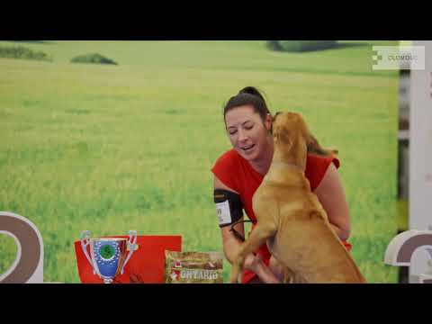 Národní výstava psů Floracanis Olomouc