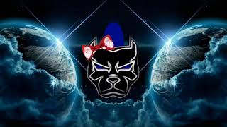 Niska -Tuba Life Remix