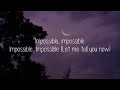 Shontelle Impossible (lyrics)