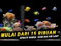 Pusat Penjualan Ikan Hias Air Laut
