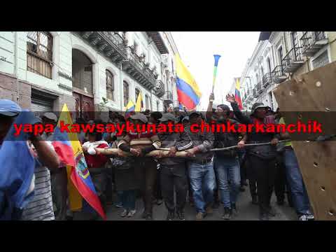 Los Nin - Maki Maillay / Se lavaron las manos (2020)