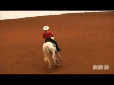 ANB Silver Dun It 2013 World Champion