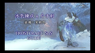 Re: [MHWI] 大家片手防具都喜歡用哪個流派啊？