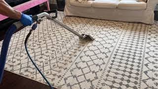 Peace Frog Area Rug Cleaning