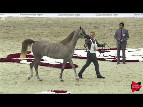 154 AL ARYAM BARAKAT Sharjah International 2018