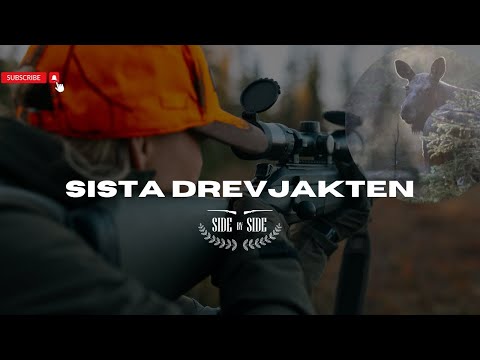 SideBySide - Sista drevjakten! Madeleine skjuter sin FÖRSTA ÄLG!