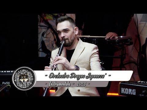Orchestra Dragos Japonezu - Instrumentala 2023 - VIP Studio Moise