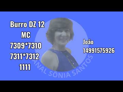 Palpites Sônia Santos p JB/26/12/25. Sexta Feira.