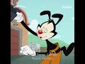 Animaniacs That Song About Countries Hulu