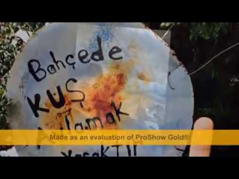 Mc yusuf  Arapça İmdekki (Kemal dokuzlu)