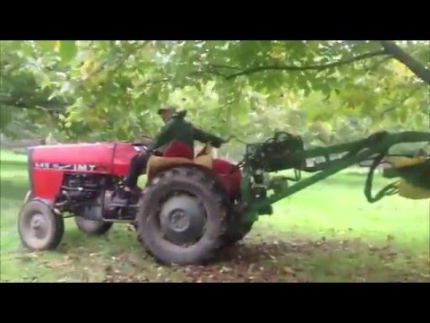 Plantaža oraha u Aranđelovcu