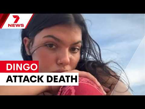 Coroner rules dingo attack caused backpacker's death | 7NEWS