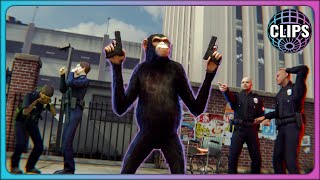 The invisible monkey that trolls the city! | GTA 5 RP | UnscriptedRP