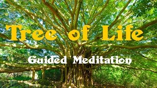 Tree of Life | Journey to Source | Spoken word | guided meditation | Isochronic Tones