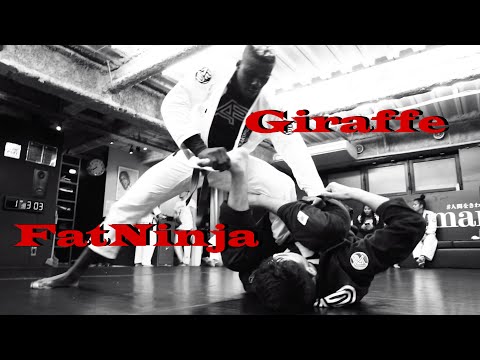 Rida Haisam & Igor Tanabe Guimarães 2018/1