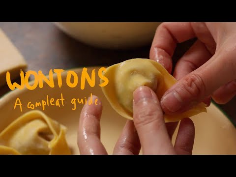 How To Make Perfect Wontons | A Compleat Guide