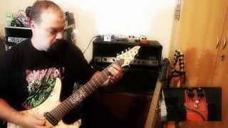 Video thumbnail for ROC 8 Sound Demo by Siggi Braun - Fine Young Guitars
