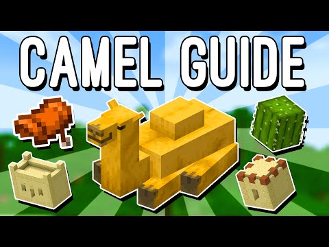 Ultimate Camel Guide: Master Minecraft's Hidden Treasures