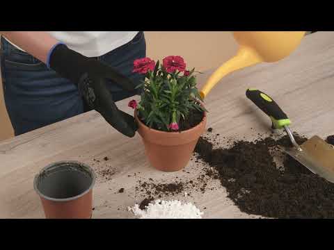 Skelné hnojivo... pečujte o své rostliny jinak!