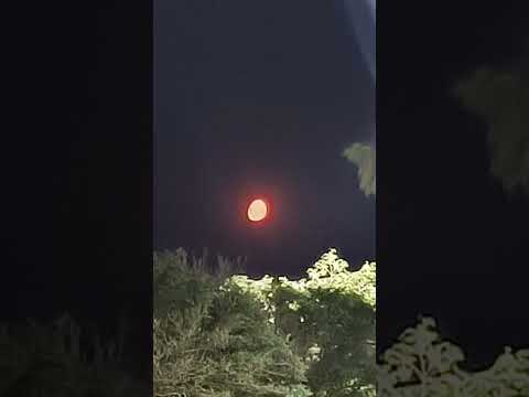 LA LUNA ESTA ROJA  #luna #roja #argentina #neuquén #cutralco #caminando #shortvideo #shorts