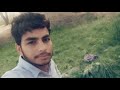 Eh Panchi Ekkala E Ehde Magar Shikari Bahute Song