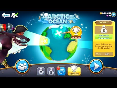 New Contest! Most Gold earned using Pirate Set - Hungry Shark World