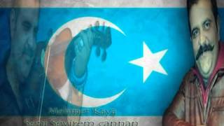 seni sevirem divaneyem mp3