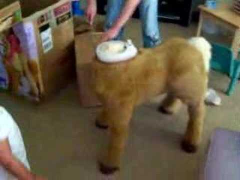 YouTube video