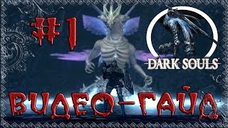 Видео-гайд по Dark Souls: Prepare to Die edition. #1