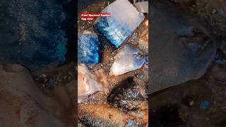 A quick before and After #pullupyoshorts #mackerel #shortsafrica #asmr #discovermyafrica