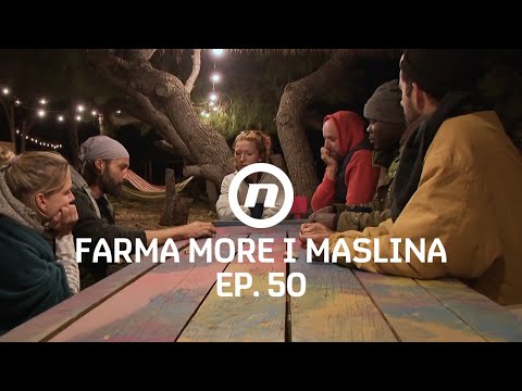 Biranje novog gazde - Epizoda 50 | Farma More i Maslina