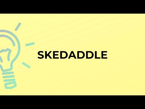 What is the meaning of the word SKEDADDLE?