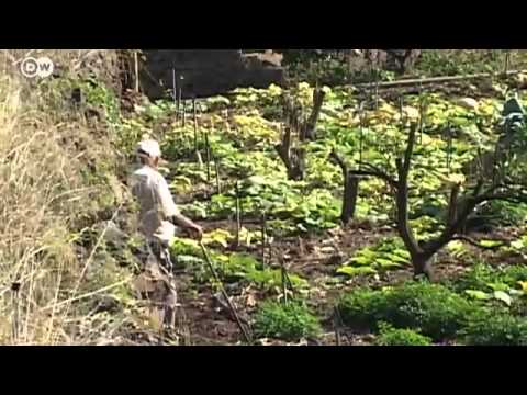 Wohnzimmer Gomera, Agulo | Global 3000