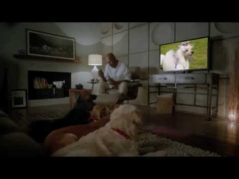 Power Up Your Everyday Payments with Paytm | Mobile Recharge, Money Transfer & More | Paytm Karo