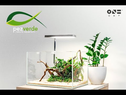 ONF – Flat Nano – PezVerde