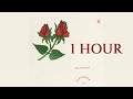 IDK You Yet 1 HOUR Alexander 23 von Ni IDK You Yet 1 HOUR Alexander 23 von Ni