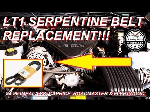 LT1 Serpentine Belt Replacement 94 95 96 Chevy Impala SS Caprice Buick RoadMaster Cadillac Fleetwood