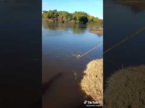 pesca de dorado en #pesquero #fishing #pesca paso cuello