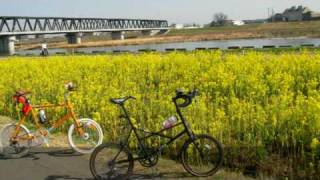 Team.KKK　1st　anniversary  PV（WESTLIFE：You Must Have Had A Broken Heart）