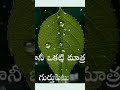Nuvvu Nammina Vallu Mosam Cheste Trending Video