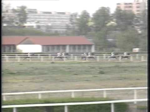 Gróf Pejacsevich Albert Emlékverseny (hendikep III) I. Freddie Mercury (Kerekes Károly)