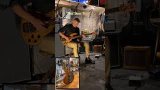 Video thumbnail for Wal Bass Mark 3 Made in U.K 1993 Bass Guitar #shorts #bass #bassplayer #funk #music #musician #jam by Petrek Guitars