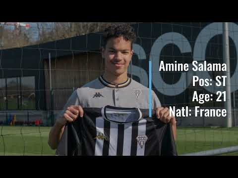 Amine Salama to Angers for Free!