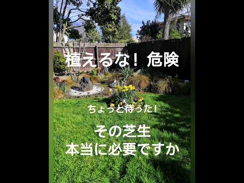 芝生の中の大きな白い幼虫を取り除く方法