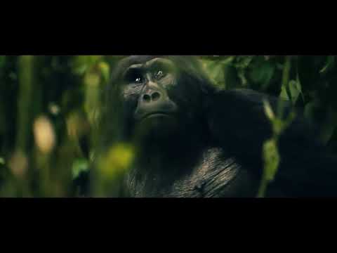 Explore Uganda