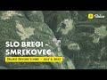 Smrekovec