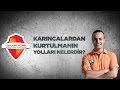 Karıncalardan kurtulmanın yolları nelerdir?