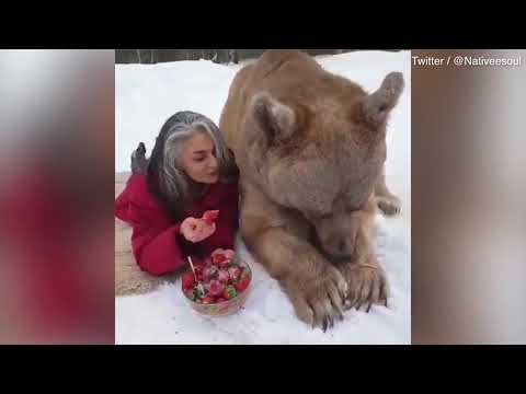 Egy csodálatos videó ember és állat barátságáról