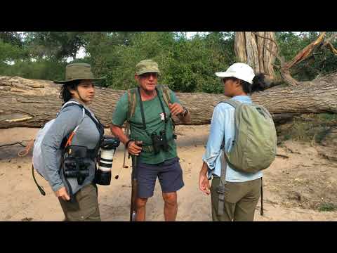 2018 Zimbabwe walking safari with Leon Varley