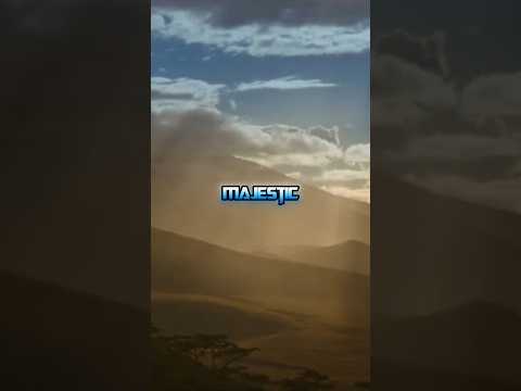 I agree with Sentinel Prime